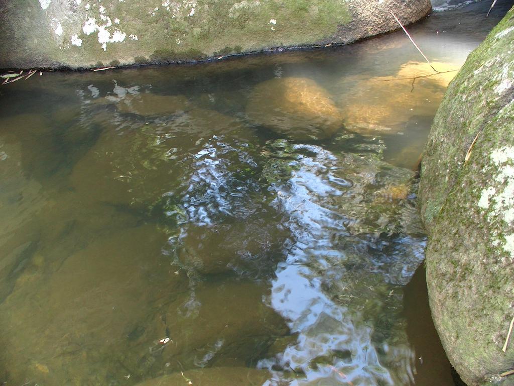 פאראטי Ytororo O Som Das Aguas מראה חיצוני תמונה